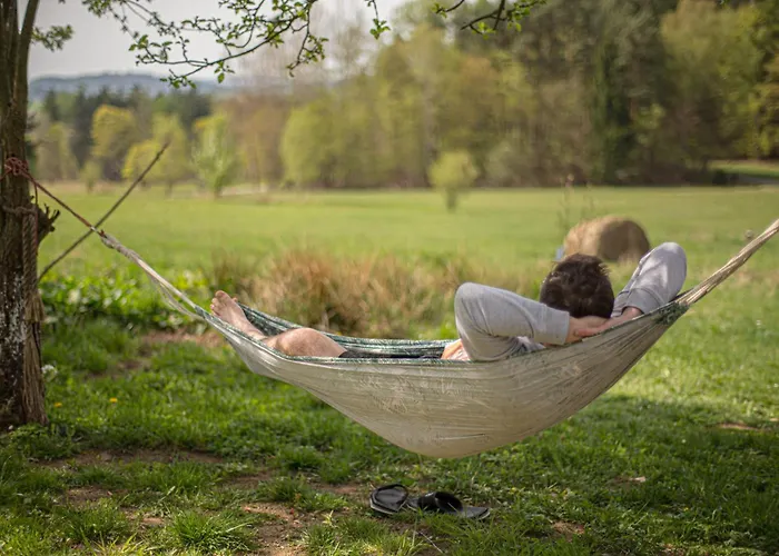 Holiday home 201 - Dom Wiejski W Gorach Sowich *