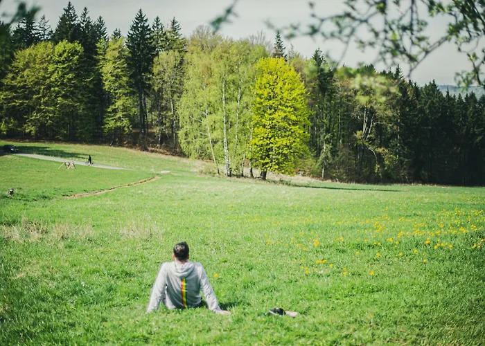 201 - Dom Wiejski W Gorach Sowich Дом отдыха Przygorze