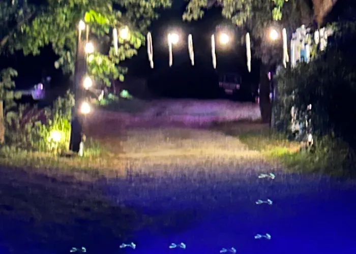 Дом отдыха 201 - Dom Wiejski W Gorach Sowich *