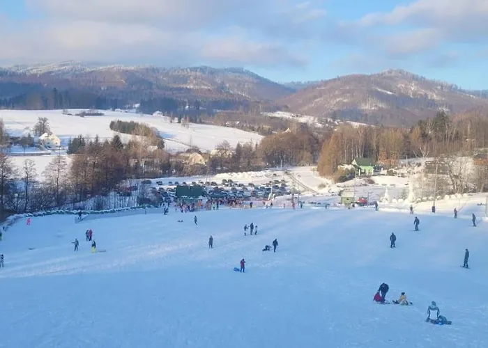 201 - Dom Wiejski W Gorach Sowich Дом отдыха Przygorze